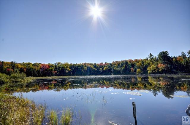 Quiet Bay Inn & Cafe Magnetawan Exteriör bild